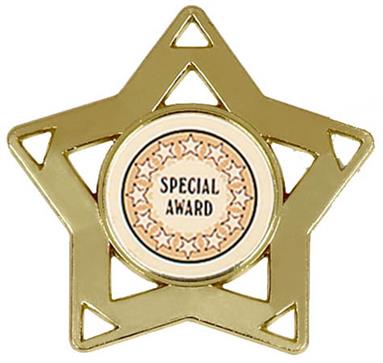 Center Choice Mini Star Medal