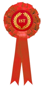 Red 1st Place Two Tier Rosette