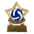 Volleyball Trophy Mini Star Award