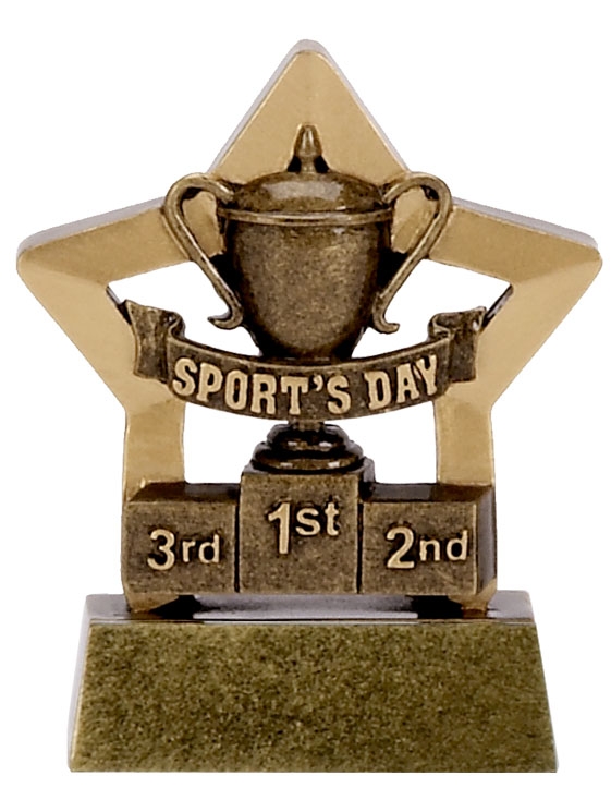 Sports Day Mini Star Award
