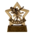 Karate Male Mini Star Award