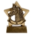 Equine Mini Star Award