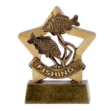 Fishing Mini Star Award
