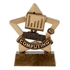 Computing Mini Star Award