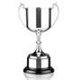 Adventure Cup Trophy thumbnail