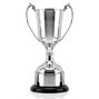 Traveller Cup Trophy thumbnail