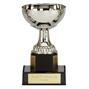 Silver Trophies - Westbury Cup thumbnail