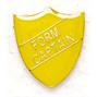 Yellow School Form Captain Shield Badges thumbnail