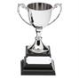 Nickel Plated Silver Cup Trophy thumbnail