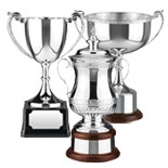 All types of Corporate Trophy Cups