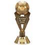 A1384-01 Player of the Year Football Trophy thumbnail