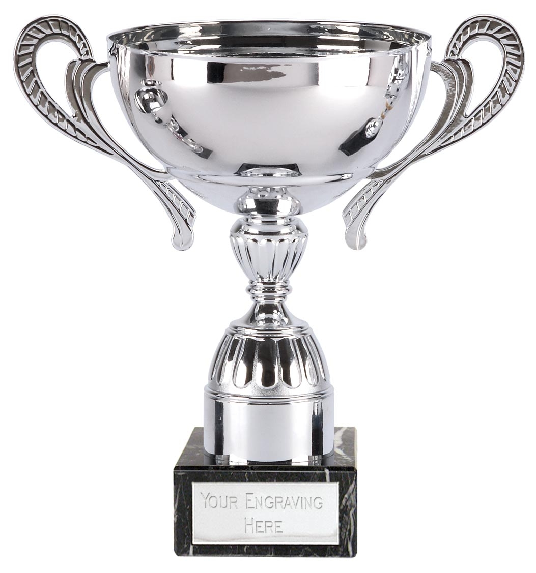 Silver Metal Trophy Cup with Handles 055
