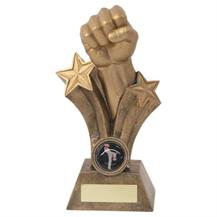 JR11-RF528 Bronze/Gold Resin Martial Arts Fist Trophy 