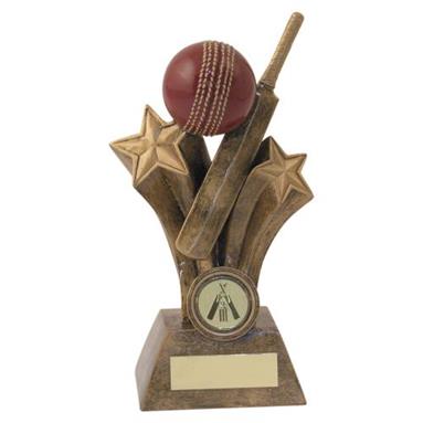 JR6-RF526 Bronze/Gold/Red Resin Cricket Bat+Ball Trophy 