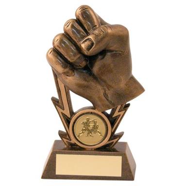 Bronze/Gold Martial Arts Fist On Strikes Trophy