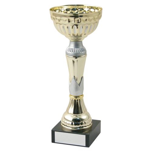 Gold/Matt Silver Bowl Trophy