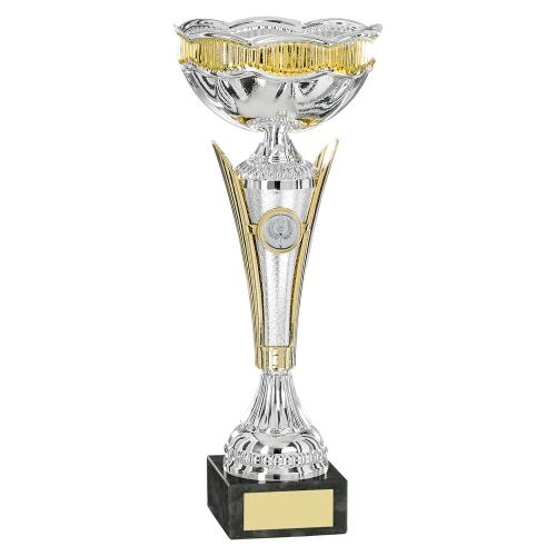 Silver/Gold Bowl Trophy JR22-CT41