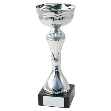 Silver Bowl Trophy JR22-CT44