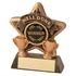 JR44-RF402 Bronze/Gold Well Done Mini Star Trophy