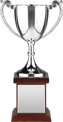 Endurance Nickel Plated Cup on Large Wooden Base