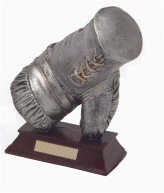 Boxing Glove Award