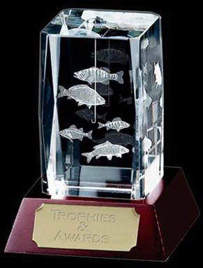 Optical Crystal Fishing Award