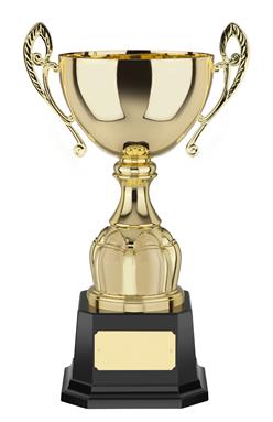 EN26D Gold Trophy Cup Award with Handles