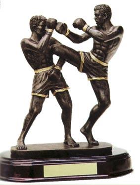 Resin Kickboxing Trophy