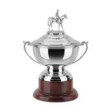 12.5 inch Horse Trophy Silver Plated HJL805