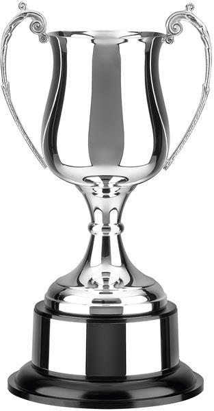 440 Silver Plated Cup Trophy
