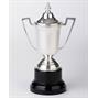 Silverplated Trophy Cup thumbnail