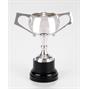 Chiltern Silverplated Trophy Cup thumbnail