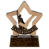 Attendance Trophy Mini Star Award A974