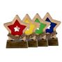 Coloured House Mini Star Awards available in Red, Greent, Blue and Yellow - A951 thumbnail