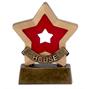 Close up of Red Coloured House Mini Star Award - A951A thumbnail