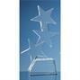Optic Rising Star Award - Treble thumbnail