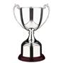 Explorer Cup Trophy thumbnail