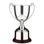 Explorer Cup Trophy thumbnail