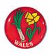 Wales - Leek/Daffodil