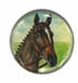 Horses Head (watercolour) - New