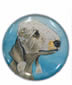 Bedlington Terrier - New