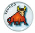 Taurus (fancy) - New