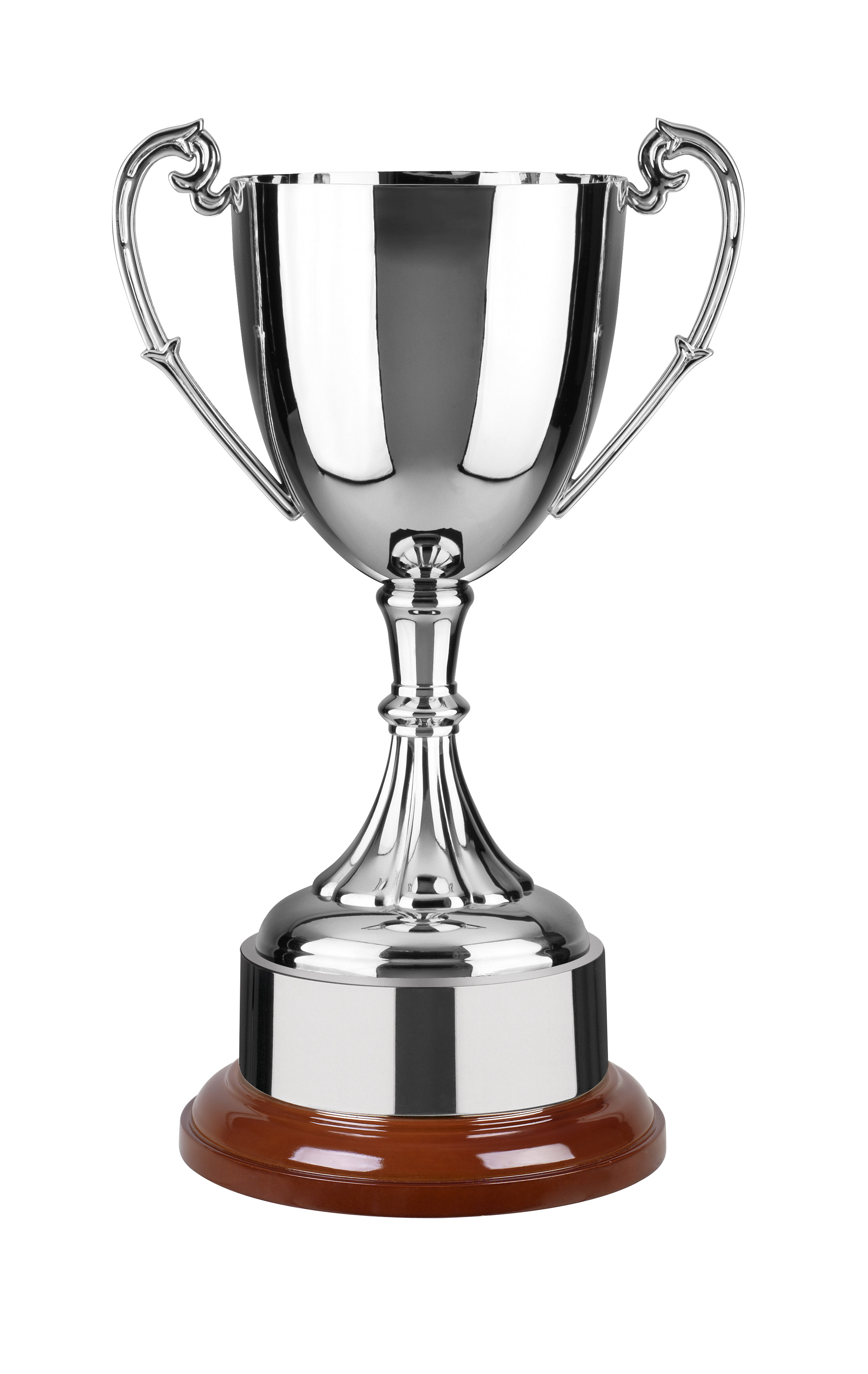 High Quality Nickle Plated Endurance Cup Award *Various sizes* PC6 