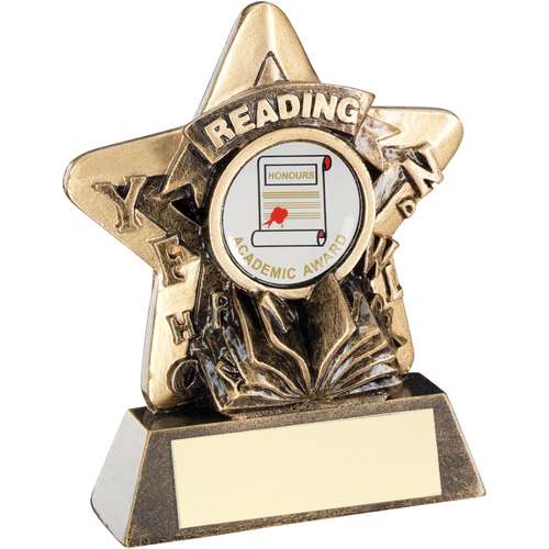 Fanfare Star Red Trophy Award 3 sizes free engraving & p&p 