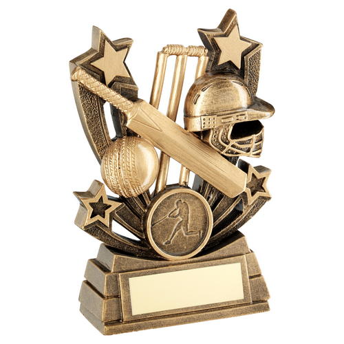 FREE ENGRAVING & CENTRES SILVER/GOLD 5 SIZES CRICKET SERIES RESIN TROPHIES 