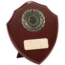 Free Engraving Celebration Shield Quiz Trophy 
