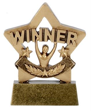Winner Trophy Mini Star Award