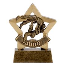 Judo Mini Star Award