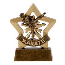 Karate Male Mini Star Award