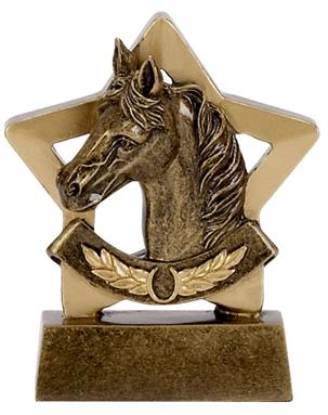 Equine Mini Star Award